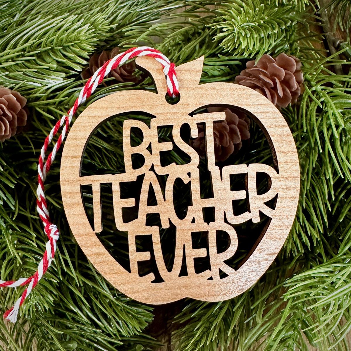 Apple Cutout Best Teacher Ever Ornament